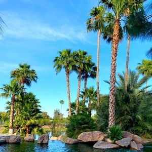 Meet your Posher, Cristina